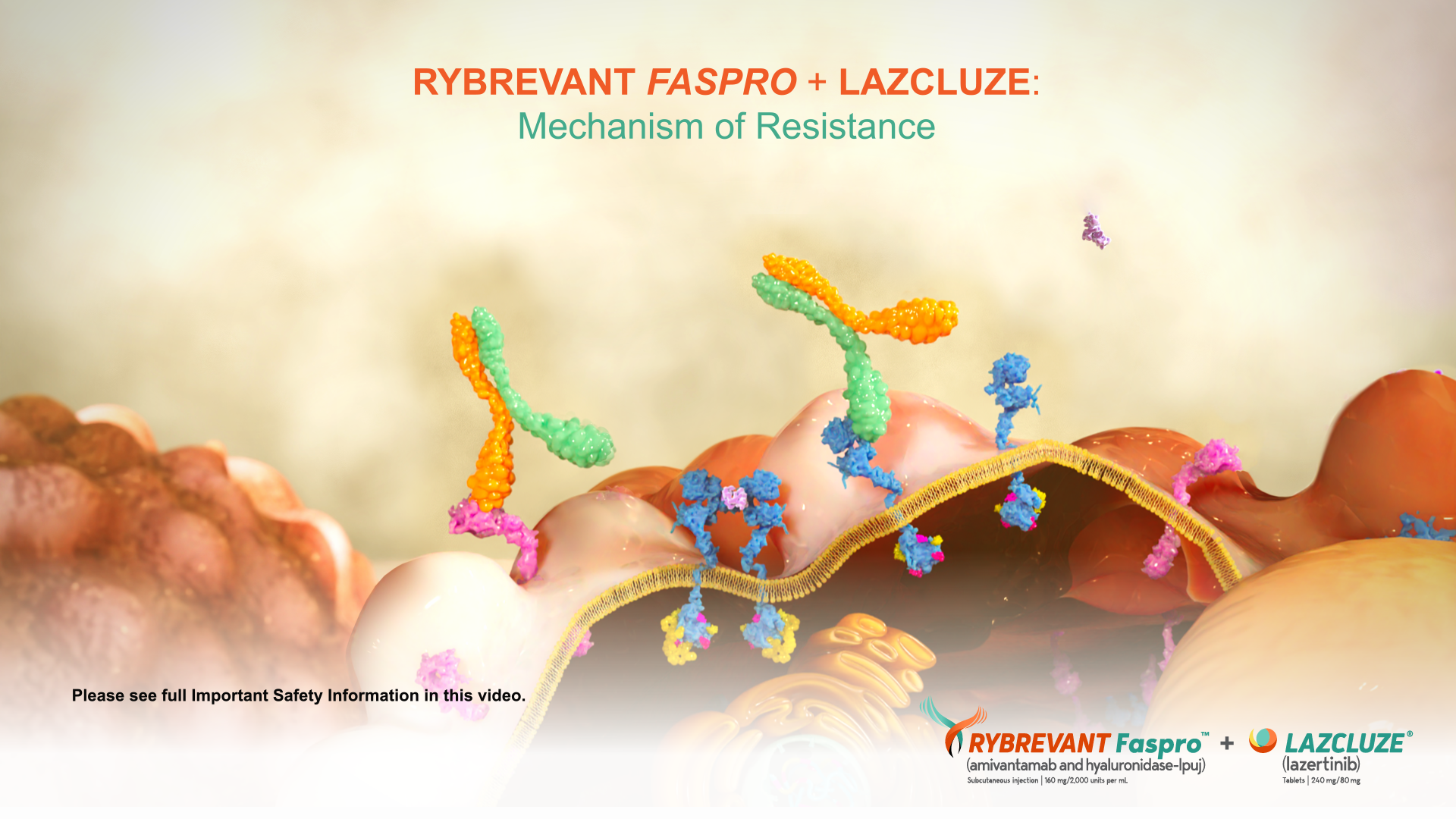 RYBREVANT <em>FASPRO</em>™ + LAZCLUZE®: Advancing Care for EGFR+* Locally Advanced or Metastatic NSCLC video